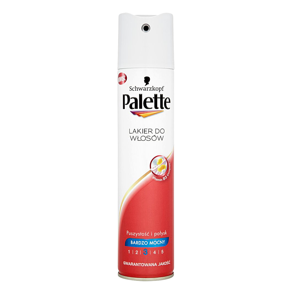 Palette Hairspray (Very Strong) 250ml