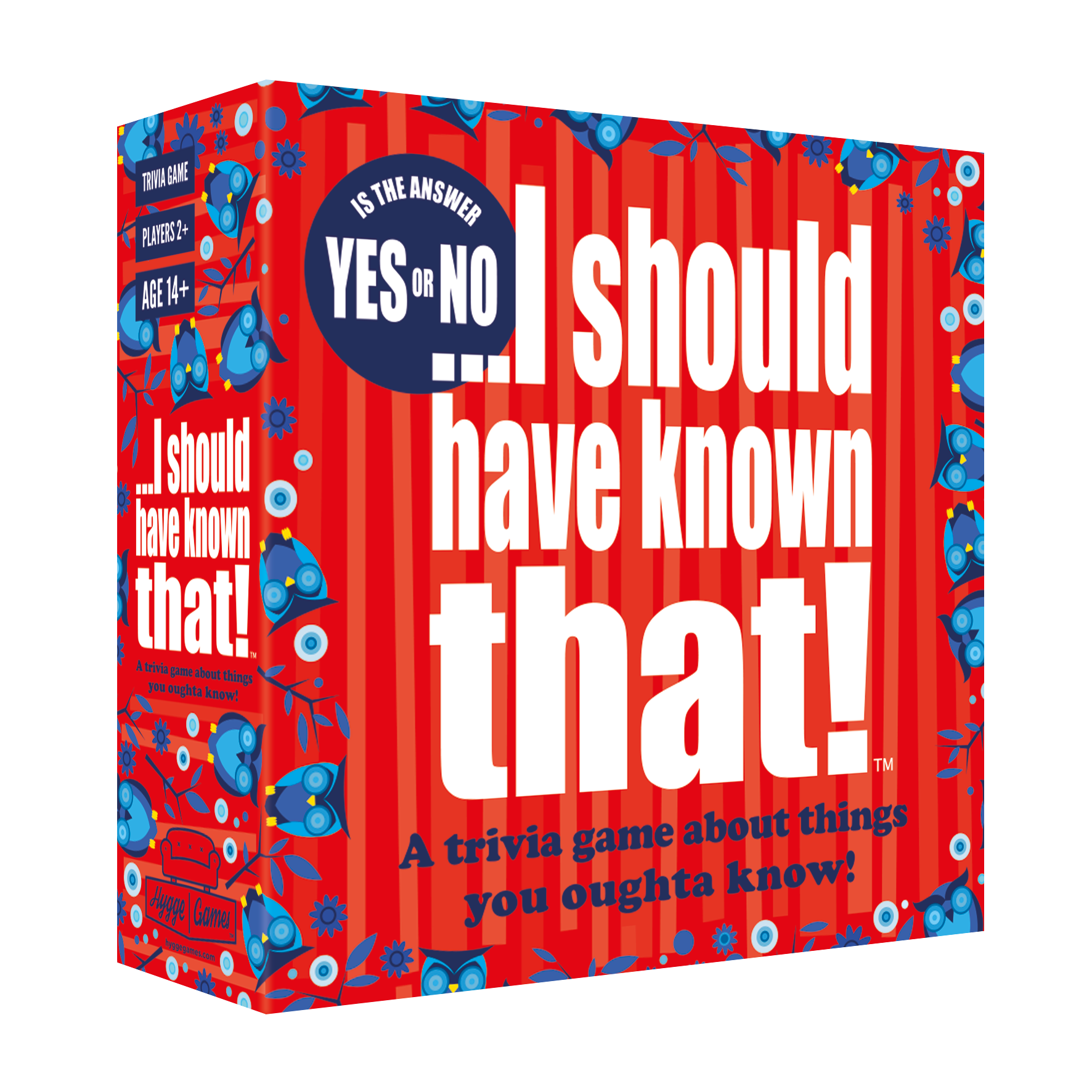 I Should Have Known That - Yes or No | Hygge Games