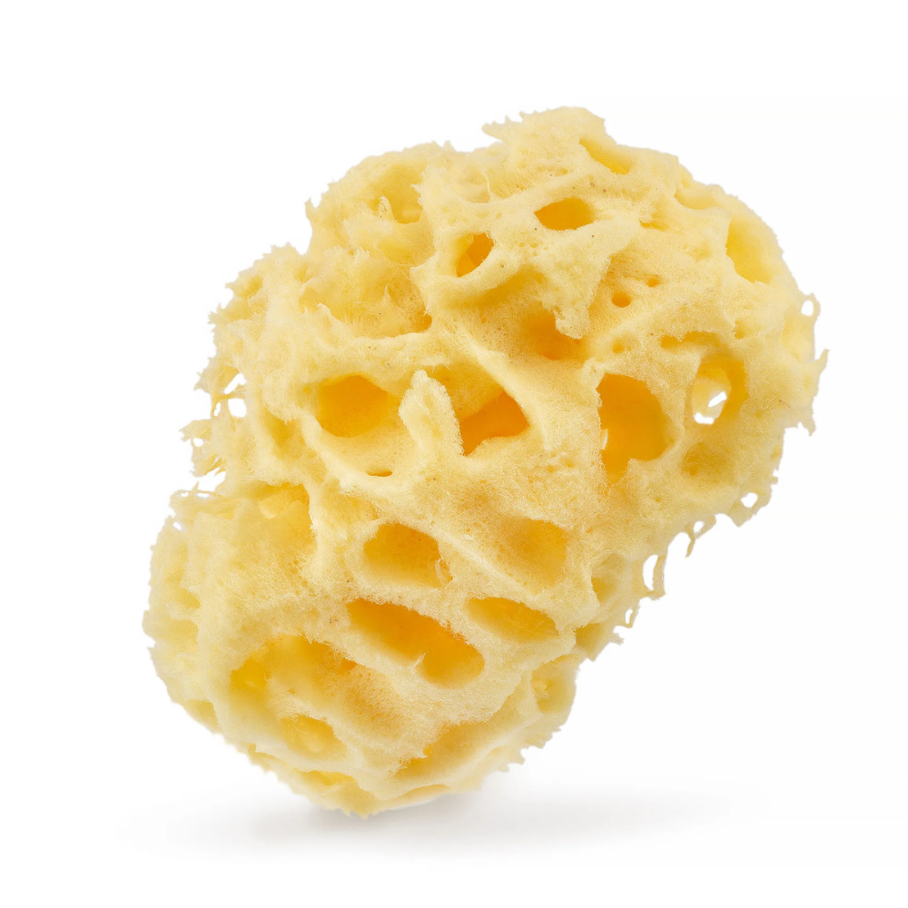 Hhuumm Natural Sea Sponge